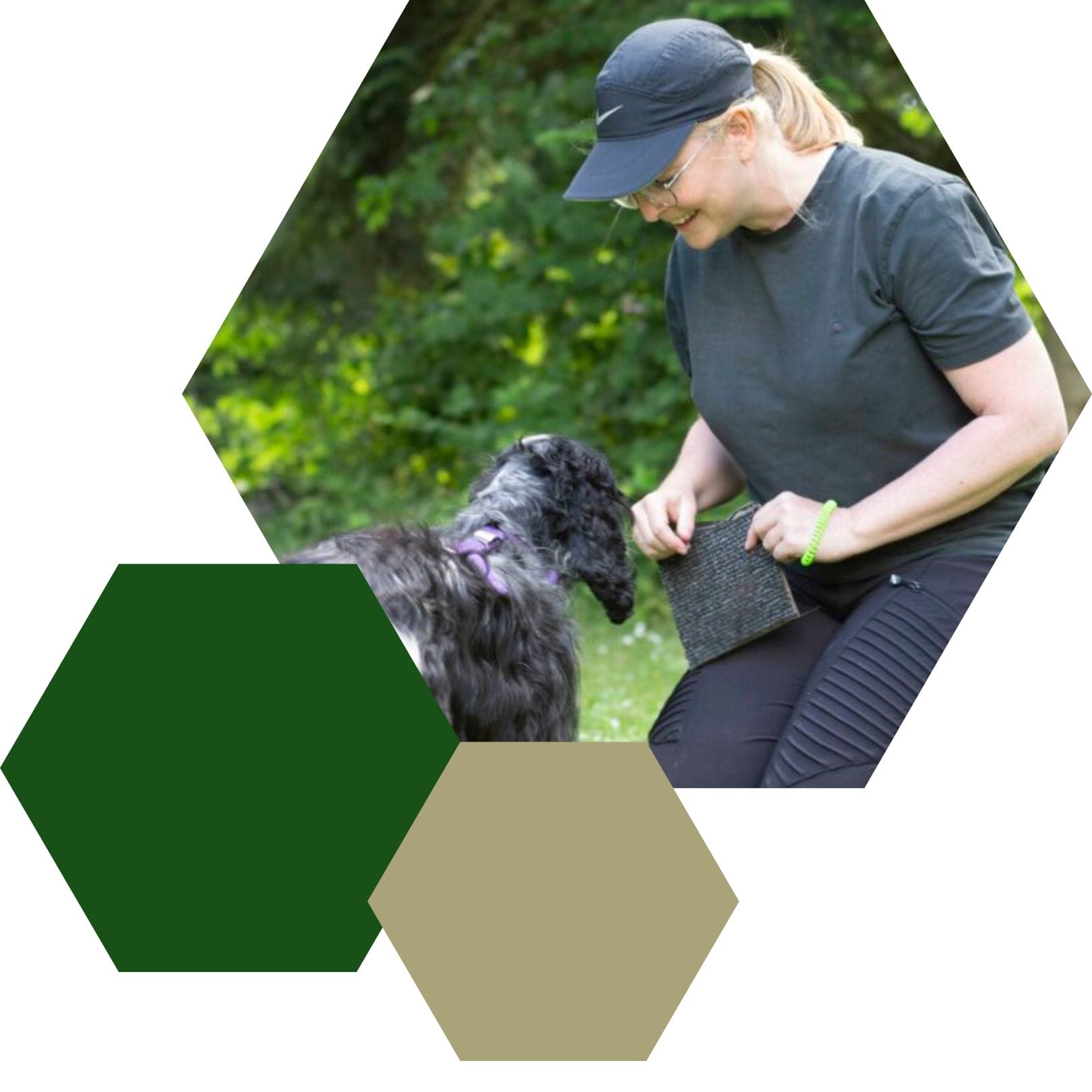 Kvinde træner hund i grøn park